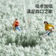 【Shely】浴室加厚毛絨吸水地墊 衛生間加厚地毯 廚房防滑地墊 地毯 40*60cm
