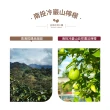 【SATUR 薩圖爾】青檸中焙濾掛咖啡(10gx10入/盒;南投冷巖山檸檬、哥倫比亞水洗豆)