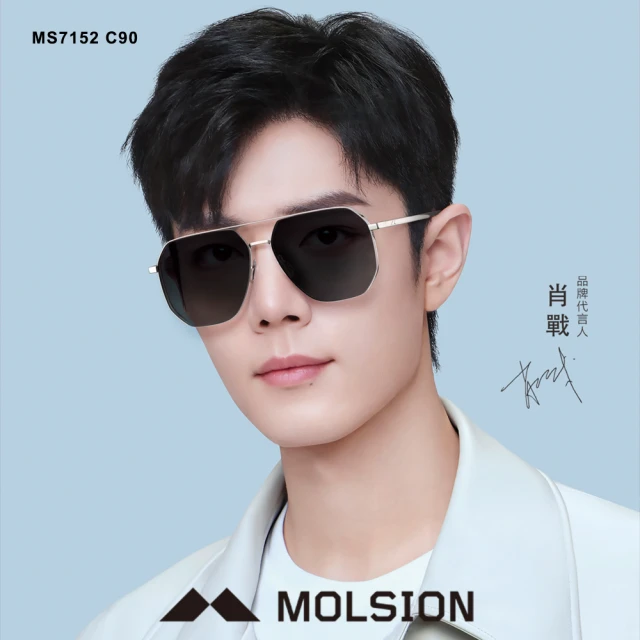 MOLSION 陌森 雙槓多邊框偏光太陽眼鏡(銀 深灰偏光鏡片#MS7152 C90)