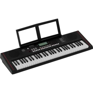 【ROLAND 樂蘭】E-X10 61鍵電子琴 伴奏電子琴 EX10(公司貨/產品註冊兩年保固)