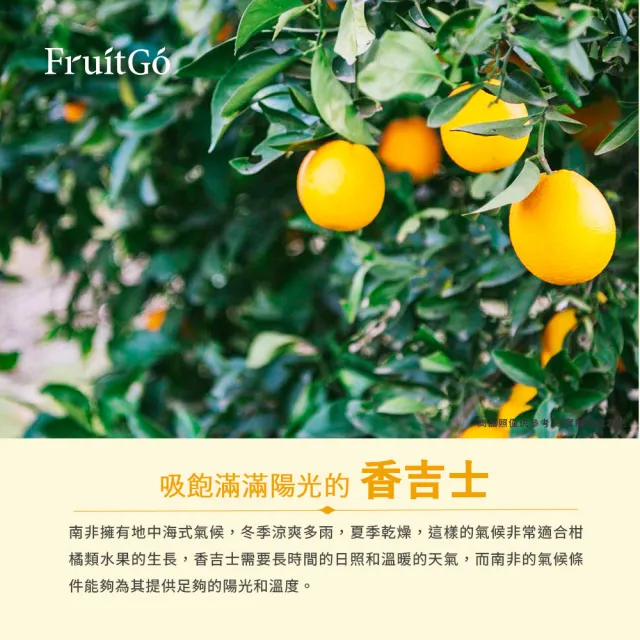 【FruitGo 馥果】南非少籽香吉士140g±10%x105顆/箱(原裝箱15kg±10%_丁_甜橙_水果送禮)