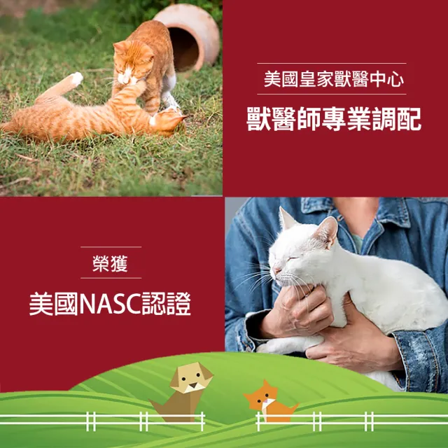 【NOW Foods】寵物貓用左旋離胺酸粉2瓶組(227公克/瓶-美國獸醫師專業推薦/皮毛健康)