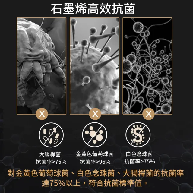 【LooCa】獨家★台灣製100%石墨烯遠紅外線能量被(循環被/吸濕排汗/健康抑菌-買大送小)