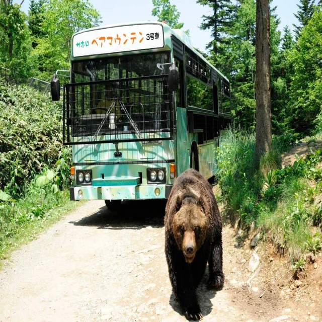 喜鴻假期 【紫戀秘境北海道６日】熊山遊園車、富良野、秘境藍洞、蔚藍積丹、洞爺花火、螃蟹溫泉