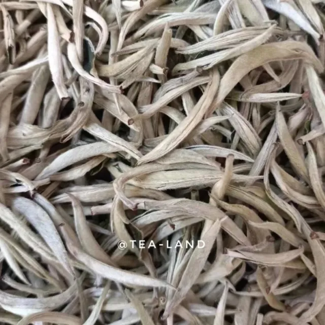 【茶韻】來自雲南皇家古樹茶園-困鹿山大白芽-60克/鐵罐裝-無農藥殘留-普洱茶 (白茶/附提袋)