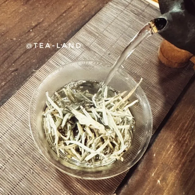 【茶韻】來自雲南皇家古樹茶園-困鹿山大白芽-60克/鐵罐裝-無農藥殘留-普洱茶 (白茶/附提袋)