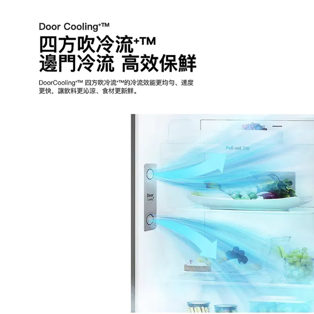 【LG 樂金】21公斤+266公升〔1+1超值組〕(WT-VD21HB+GV-L266SV)