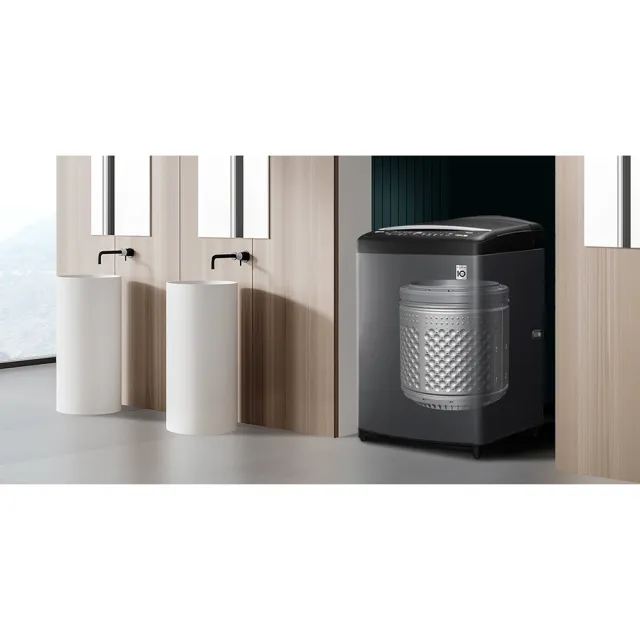 【LG 樂金】17公斤+332公升〔1+1超值組〕(WT-VDN17M+GN-L332BS)