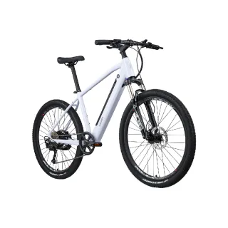 【LAZARA】RM1 Ebike 平把多地形電輔車(電輔車/E-BIKE/登山車)