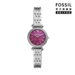 【FOSSIL 官方旗艦館】Tillie系列 鑲鑽細緻女錶 不鏽鋼鍊帶/米蘭錶帶 26MM(多色可選)