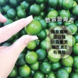 【A級金桔】屏東金桔A級 友善小農 5斤箱裝(產地直銷 現採新鮮出貨)