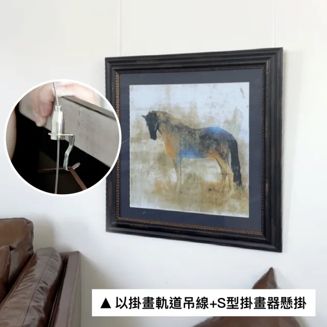 【菠蘿選畫所】畫軌配件零售 - S型掛畫器(不鏽鋼掛畫勾/畫軌掛圖器/掛圖勾/掛圖器/頂軌吊鉤/台灣現貨)