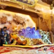 【財神小舖】好運歸來 水晶聚財錢龜擺件(兩款任選 已開光 招財 轉運 能量 磁場)