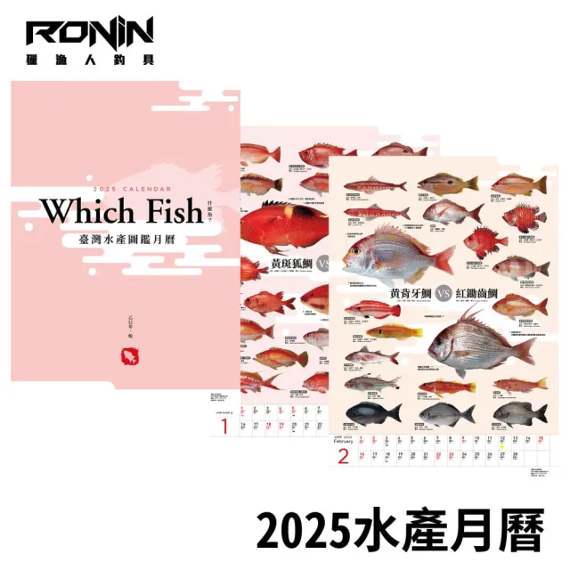 【RONIN 獵漁人】2025年 台灣水產圖鑑月曆(裝飾 節慶 自用 送禮 兩相宜 交換禮物)