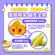 【Eatbliss 益比喜】小晶晶金盞花葉黃素凍升級版-葡萄口味(100入禮盒x2)