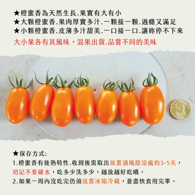 【初品果】宋媽媽橙蜜香小番茄禮盒3斤x2盒(年節禮盒__高雄美濃_產地直送_季節限定)