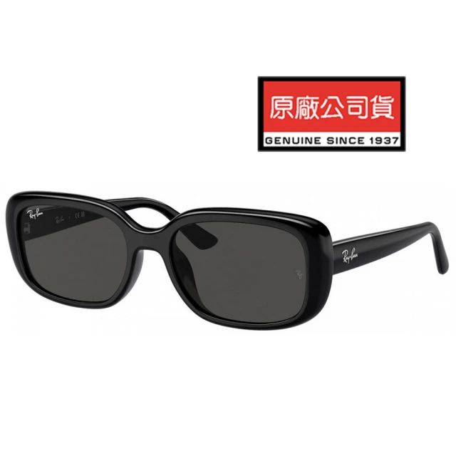 RayBan 雷朋 成毅代言配戴款 亞洲版 時尚輕量太陽眼鏡 RB4421D 667787 黑框深灰鏡片 公司貨