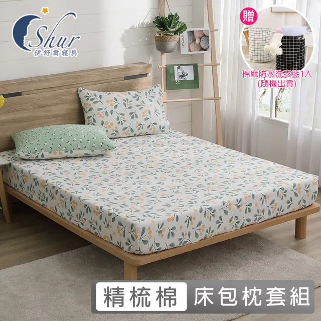 【ISHUR 伊舒爾】台灣製 100%精梳棉床包枕套組(單/雙/加/特大 多款任選 純棉床包 贈防水洗衣籃 速達)