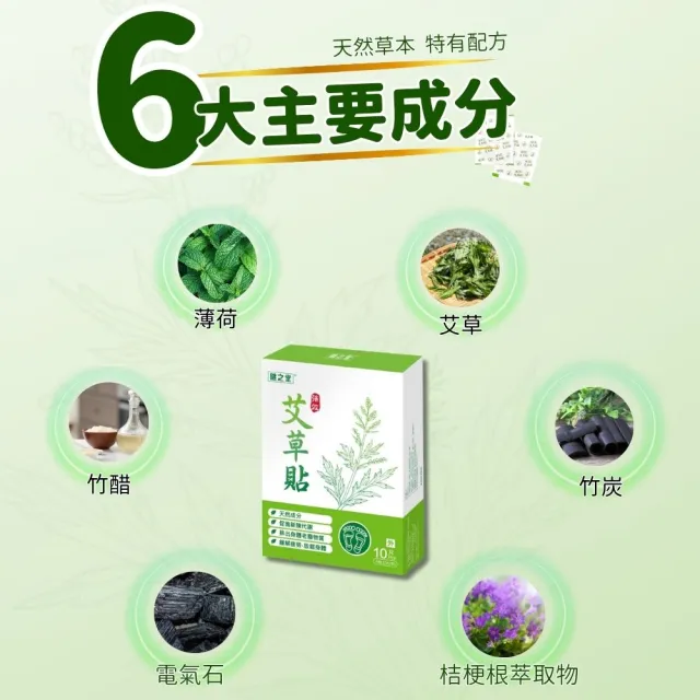 【健之堂】強效艾草貼10片*2盒及甜睡艾草貼10片*2盒 組合裝