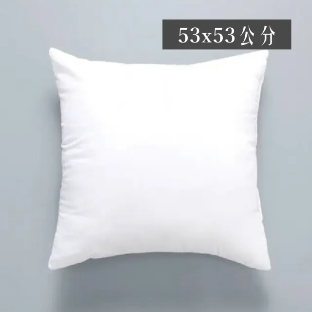 【HEAVEN 研紡枕所】MIT台灣製高磅數透氣抱枕芯53x53cm－適用50x50抱枕套(抱枕芯、純白枕芯、靠墊芯)