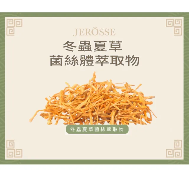 【JEROSSE 婕樂纖】療肺草正冠茶X5盒/100包(14種中草本配方.好舒暢)