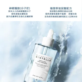 【Skin1004】官方直營 積雪草-玻尿酸第一精華液100ml