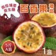 【初品果】南投埔里百香果A級禮盒5斤x4盒(原生種_香甜飽滿_產地直送_年節禮盒)