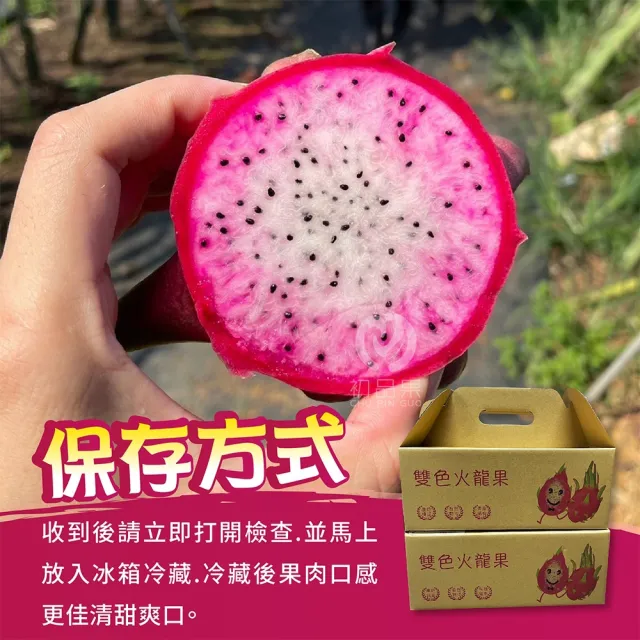 【初品果】南投夢幻雙色火龍果6斤5-7顆x1盒(雙色冰淇淋_季節限定_鮮採直送)