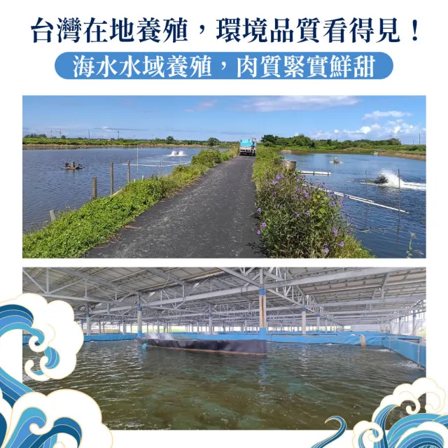 【幸美生技】台灣冷凍無毒白蝦600gx3盒(40-50/kg   加贈鮮凍白花菜米1kg/包)