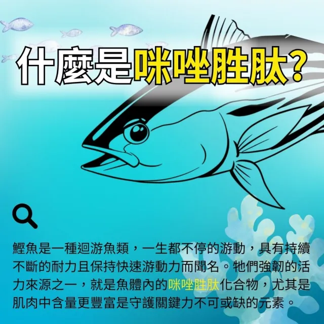 【亞洲健康王】AHA關捷挺固立30g 葷食 共45瓶(D3 MSM 郭子乾白冰冰雙推)