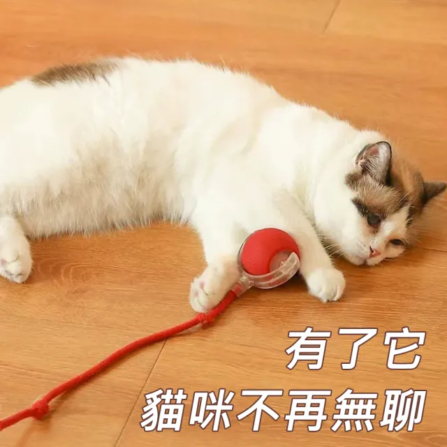 【AFAMIC 艾法】智能電子LED彩燈不規則滾動防水寵物玩樂解憂球(原廠正貨 逗貓棒 互動 運動 貓狗 寵物球)