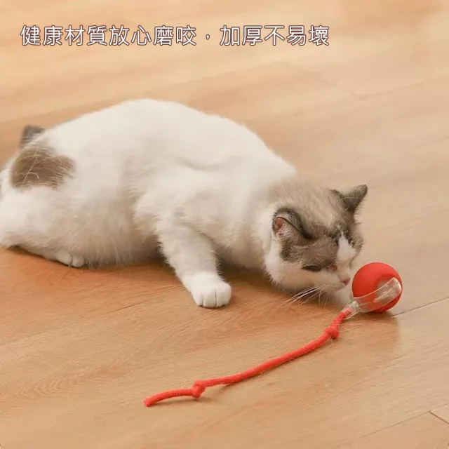 【AFAMIC 艾法】智能電子LED彩燈不規則滾動防水寵物玩樂解憂球(原廠正貨 逗貓棒 互動 運動 貓狗 寵物球)