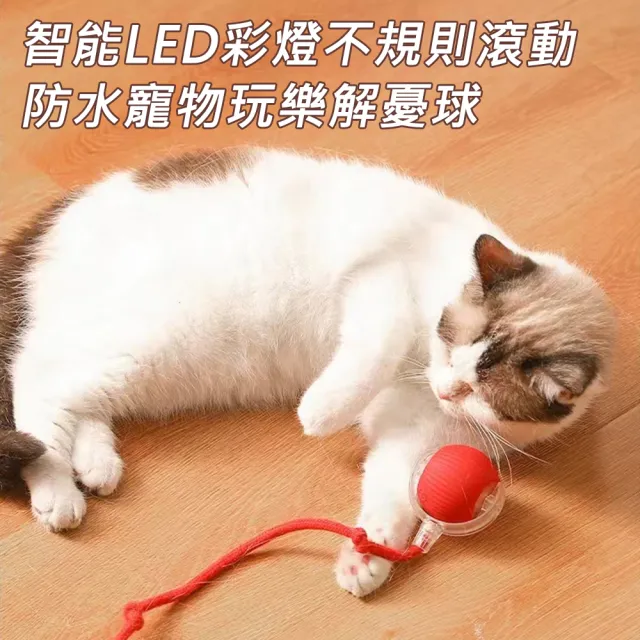 【AFAMIC 艾法】智能電子LED彩燈不規則滾動防水寵物玩樂解憂球(原廠正貨 逗貓棒 互動 運動 貓狗 寵物球)