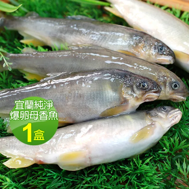 【優鮮配】宜蘭純淨爆卵母香魚1盒(11-17尾裝/920g/盒)