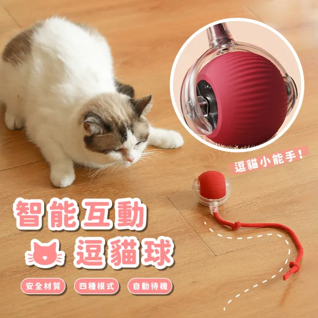 【啃咬追逐】智能互動逗貓球(寵物玩具球 電動球 解悶 自嗨 貓咪 狩獵球 自動球 不倒翁 滾動球 狗玩具)