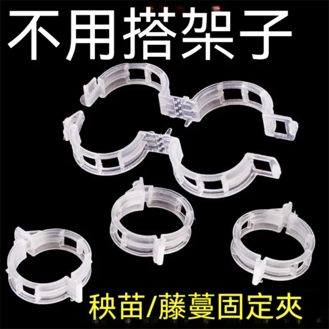 【晴安居】PP材質植物固定夾 環保型卡扣設計免搭架藤蔓綁夾(50入)