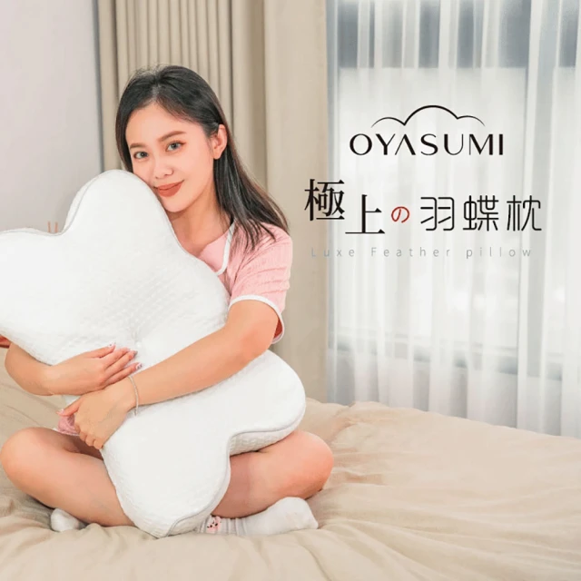 GELLIS 鵲利仕 防蟎抗菌天絲記憶枕10CM6入團購組(