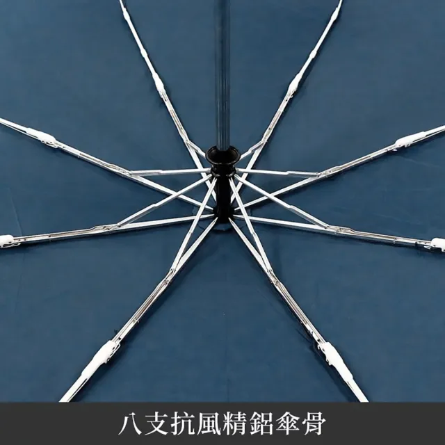 【雨傘王】BigRed將將好 8骨抗風傘骨 大傘面 自動折疊傘 25吋 防潑水 快乾 2人撐(終身免費維修)