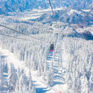 【喜鴻假期】【東北藏王樹冰７日】草莓吃到飽、銀山溫泉街、超萌狐狸村、大內宿合掌村、淺草觀音寺