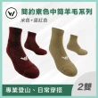 【WOAWOA】2入組 極致速乾登山羊毛襪-中筒(100%防縮美麗諾羊毛 登山襪 保暖襪 除臭襪 羊毛襪 厚襪)