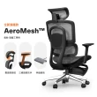 【Hyman PluS+】Aero Mesh 雙背護腰多功能調節人體工學椅(電腦椅 辦公椅 主管椅 高背椅 耐重椅)