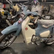 【HONDA 本田】super cub c125灰白 2023款(白牌檔車/機車/平輸車)