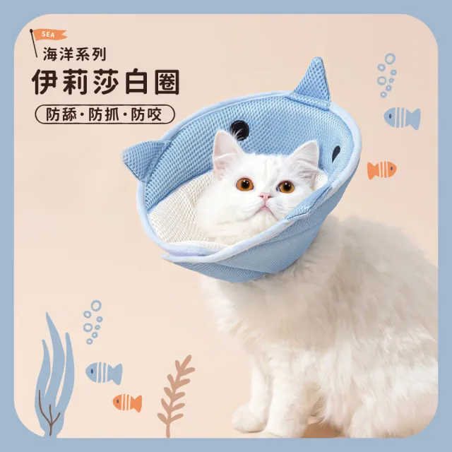 【chachacha】伊莉莎白圈 防舔咬頭套(5款)