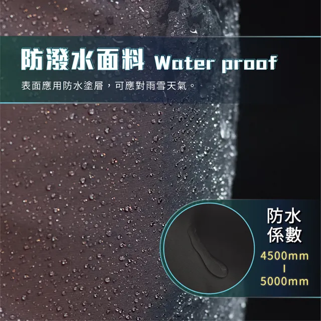 【TAS 極限運動】滑雪專用雙層滑雪褲(極致保暖 防雪設計 雪地 抗寒 防潑水 防風 褲子 耐磨 滑雪)
