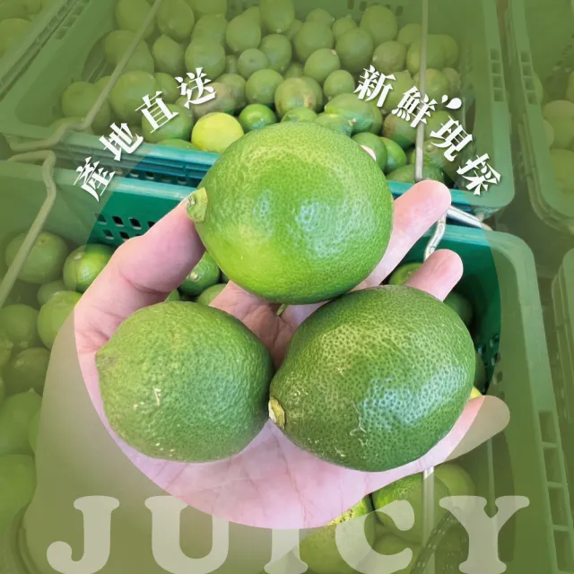 有籽檸檬 10斤箱裝(產地直銷 現採新鮮出貨)