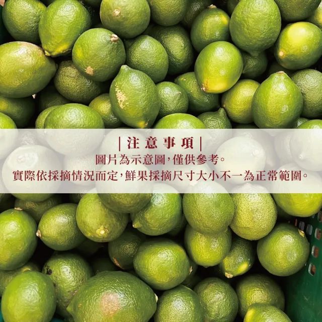 【屏東檸檬】有籽檸檬 10斤箱裝(產地直銷 現採新鮮出貨)