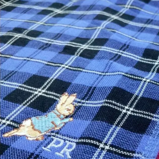 【PETER RABBIT 比得兔】6入深色方格質感方巾(FZ-DC1402PR)