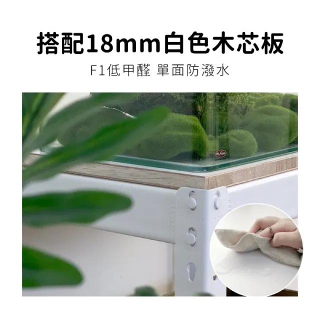 【空間特工】兩層魚缸架60x60x75cm (附層板 附腳套）昆蟲箱架 觀察箱架 台灣製造 水族箱造景 免螺絲角鋼架
