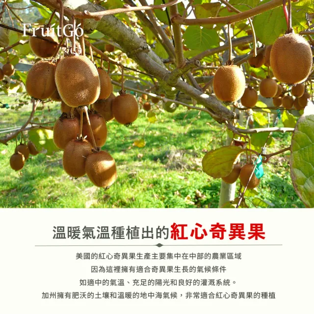 【FruitGo 馥果】美國空運 紅心奇異果5-7顆450g±10%x2盒(Kiwi_水果禮盒)