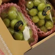 【RealShop】日本晴王岡山麝香葡萄 1.1kg±10%x1盒(一盒共2串 真食材本舖 中秋禮盒)